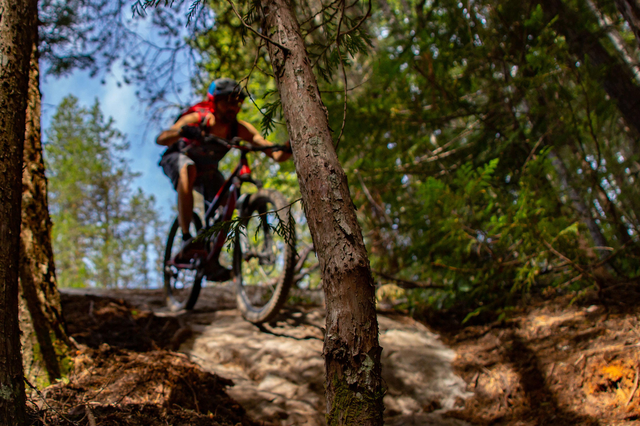 Radfahren im Donautal